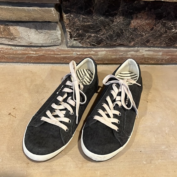 Taos Star Gray Canvas Sneaker - Picture 2 of 6